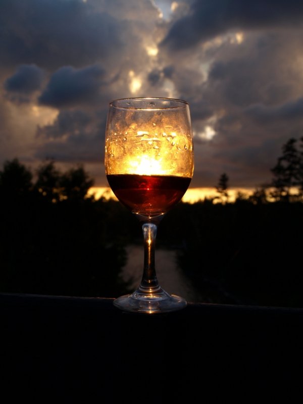 Фотовиставка Тетяни Полуектової